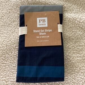 POTTERY BARN TEEN Pillow Sham Stand Out Stripe Euro Sham Blue Gray In Package